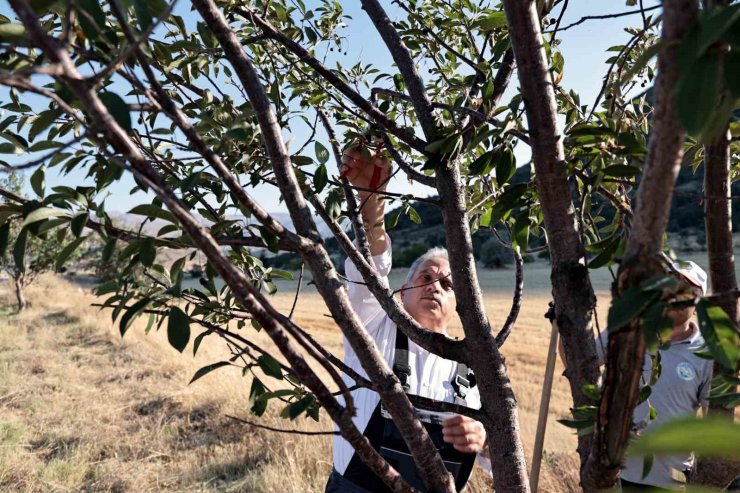 Talas’ın bahçıvan başkanı