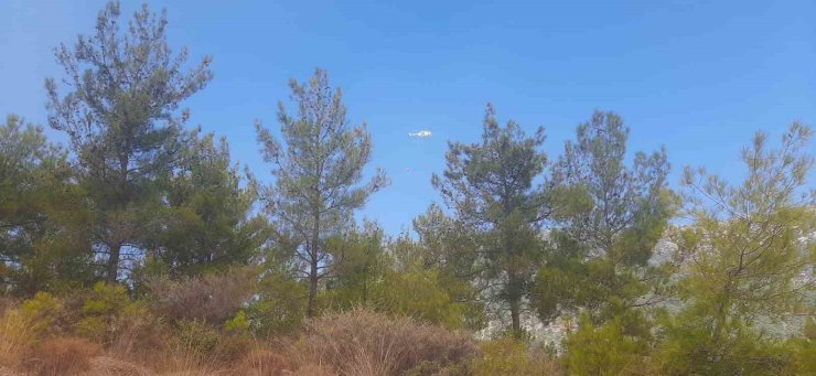 Mersin Bozyazı’da orman yangınına ekipler havadan ve karadan müdahale ediyor