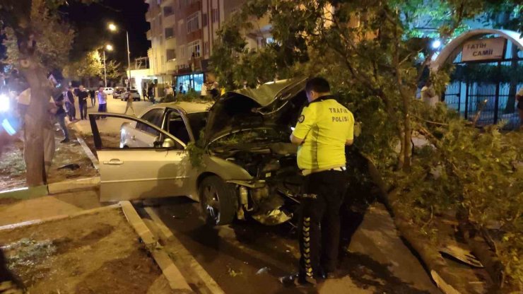 Direksiyon hakimiyetini kaybetti, ağaca çarptı: 4 yaralı