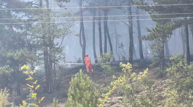 Kastamonu’da orman yangını