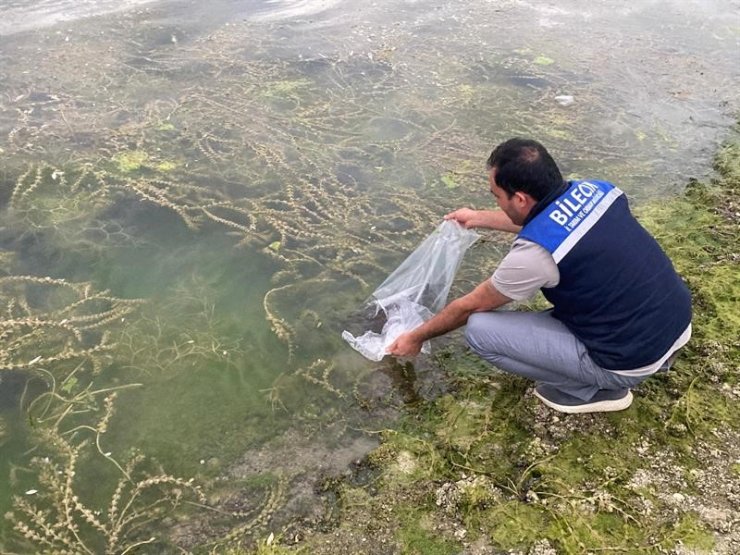 Bilecik’te 14 farklı göle 134 bin 500 adet sazan balığı yavrusu bırakıldı