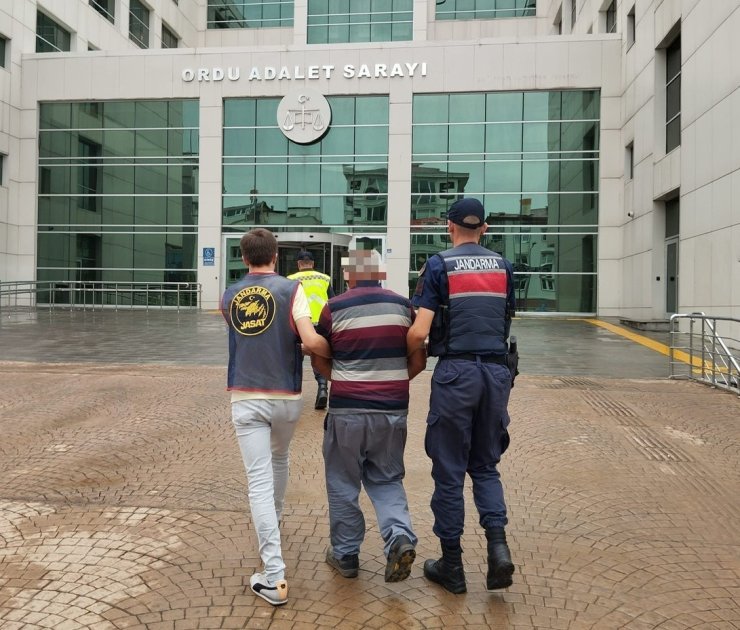 Ordu’da uyuşturucu madde imal ve ticareti yapan yaşlı şahıs yakalandı