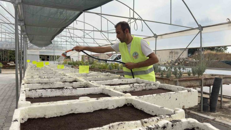 Turhal’ın yeşil alanları kendi üretimleriyle güzelleşiyor