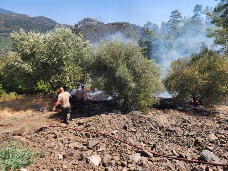 Marmaris’teki orman yangını büyümeden söndürüldü