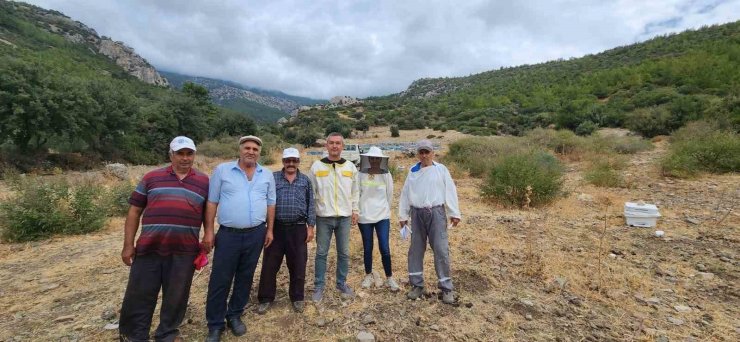 Söke’de arıcılık desteklemeleri için kovan tespit çalışmaları devam ediyor