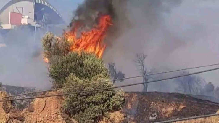 ADÜ’de yangın paniği