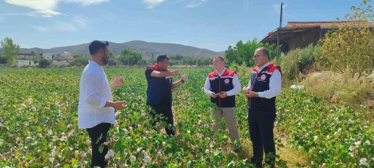 Didim’de üretim alanları kontrol edildi