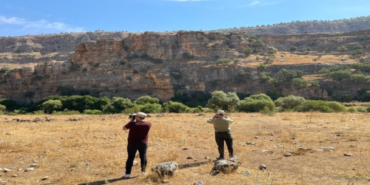 Şırnak’ta kaçak avcılığa karşı ekipler denetimlere devam ediyor