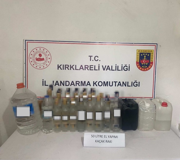 Kırklareli’nde kaçakçılık operasyonları: 9 gözaltı