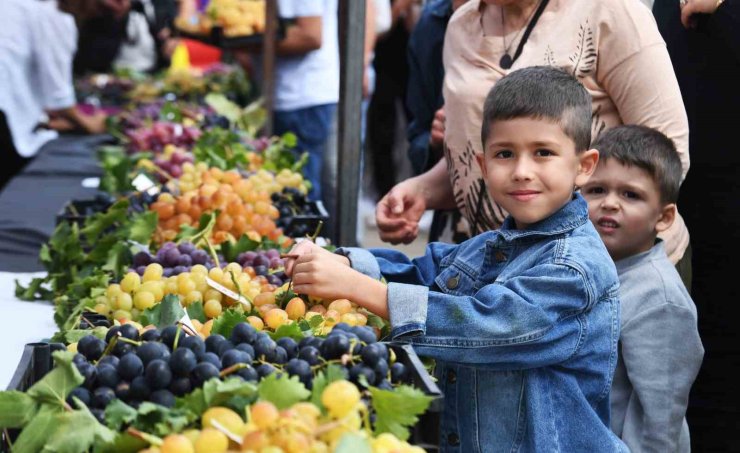 Osmangazi’nin en güzel üzümleri seçildi