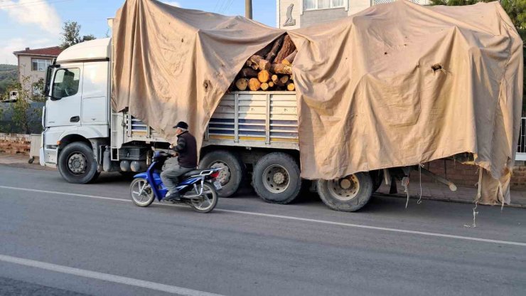 Tonlarca kütük yola devrildi, öğretmen bir adımla ölümden kurtuldu