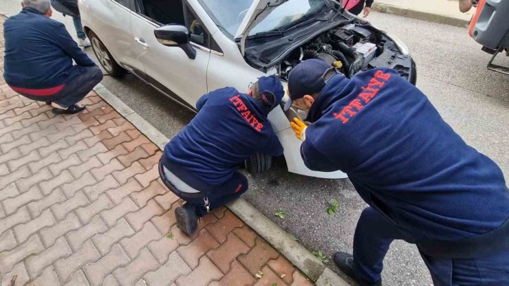 Araç motoruna giren kedileri kurtarmak için seferber oldular