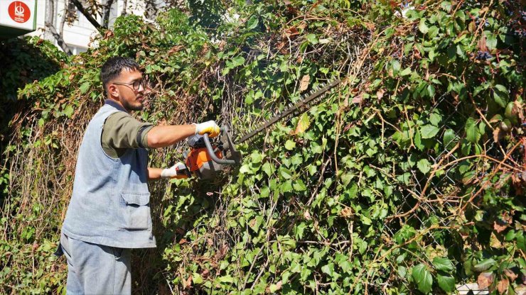 Keçiören’de mevsimlik budama çalışmaları gerçekleştiriliyor