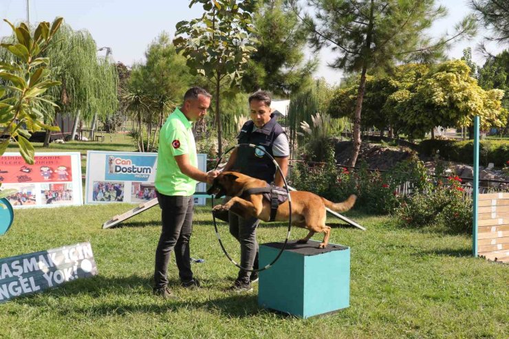 Minik öğrenciler eğitimli köpeklerin gösterisine hayran kaldı