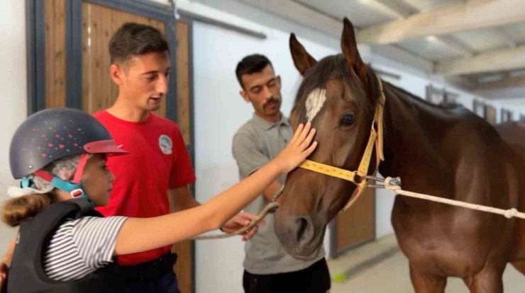 Büyükşehir Spor A.Ş.’nin binicilik eğitimleri yoğun ilgi görüyor