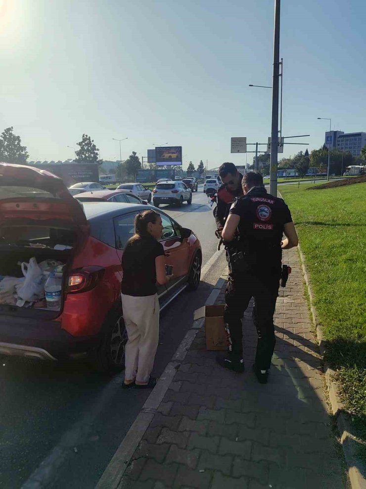 Bursa’da trafikte yavru kedi alarmı..Polisler 4 araca giren kediyi kurtardı