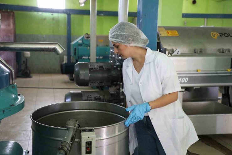 Zeytin hasadı öncesi fabrikalarda sıkı denetim