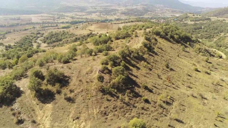 Haçlı ordusunun bozguna uğradığı tarihi zaferin izleri gün yüzüne çıkarılacak