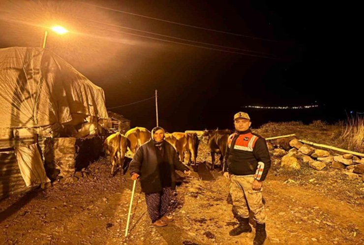 Ardahan’da kaybolan hayvanlar bulunup sahibine teslim edildi