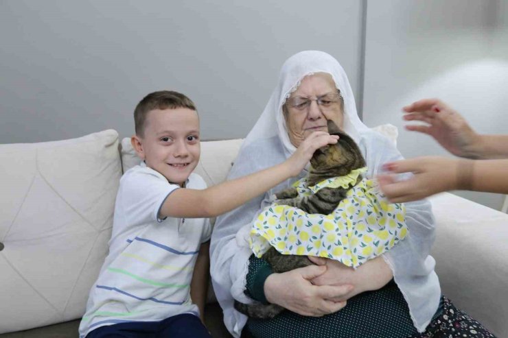 Bebek gibi giydirdiği kedisiyle 82 yaşında fenomen oldu