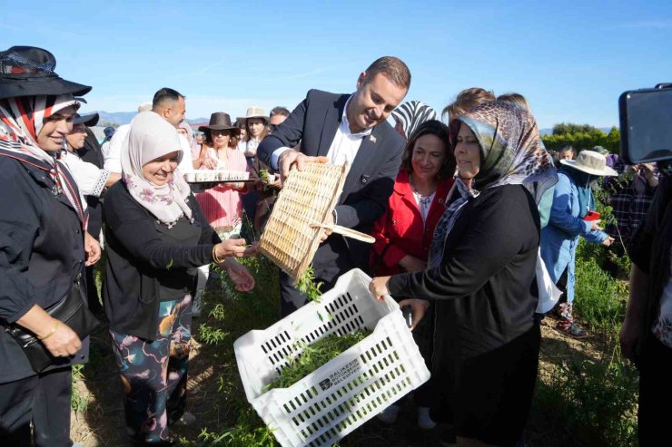 Başkan Akın, kadın çiftçilerin yanında