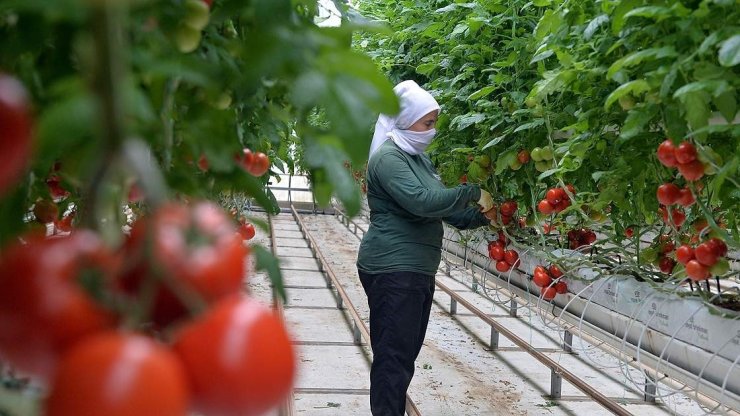 Anadolu coğrafyasının "Beyaz Altını" jeotermal