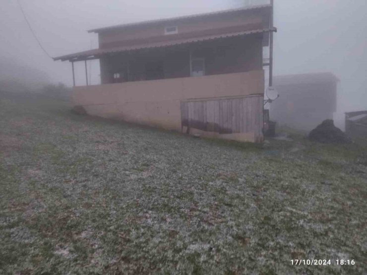 Mevsimin ilk karı yağdı: Bin 725 rakımlı yayla kısmen beyaza büründü