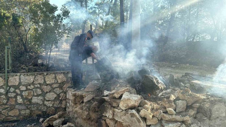 Asker ve itfaiye sahaya indi, yangının çıkış noktası ve sebebi araştırılıyor