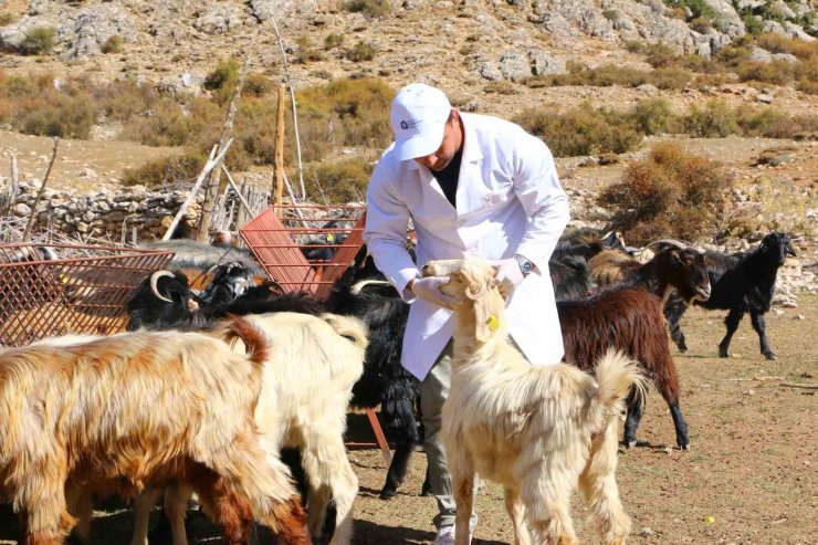 Elmalı’da Çoban Haritası Projesi tamamladı