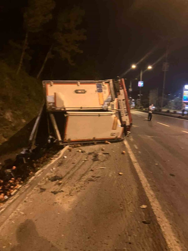 Park halindeyken freni boşalan tır şarampole devrildi