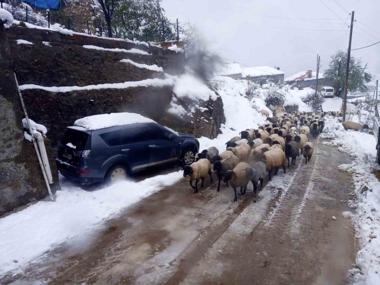 Giresun’da kar yağışı nedeniyle mahsur kalan çobanlar kurtarıldı