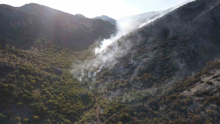 Adıyaman’da 2 gündür süren orman yangını devam ediyor