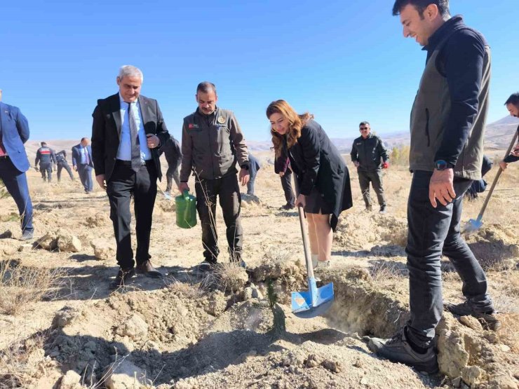 101. Yıla özel 101 fidan toprakla buluştu