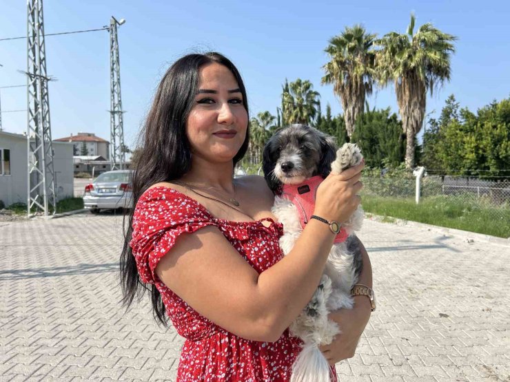 Aylardır sahibine ulaşılamayan Şila’nın yeni yuvası depremzede ailenin konteyneri oldu