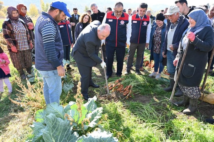 Lezzetiyle meşhur Çakır havucunda hasat başladı