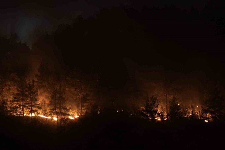 Bursa-Balıkesir il sınırındaki orman yangınına 8. saatinde müdahale devam ediyor