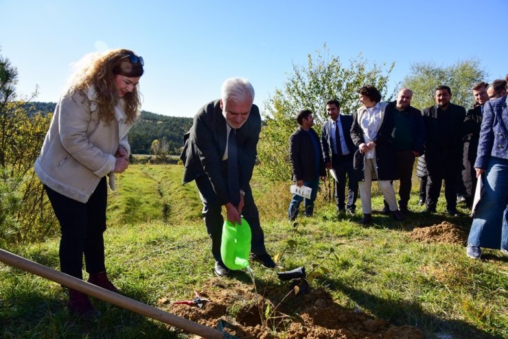 Kastamonu Üniversitesi’nde 100 fidan dikildi