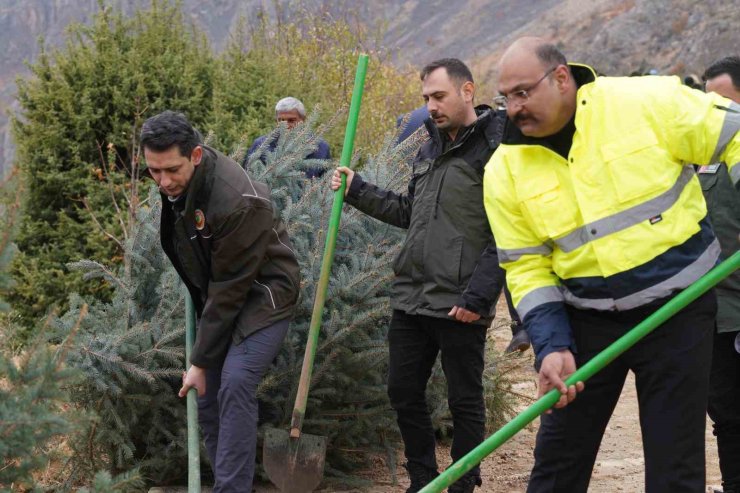 Kemaliye’de geleceğe nefes için fidan dikildi