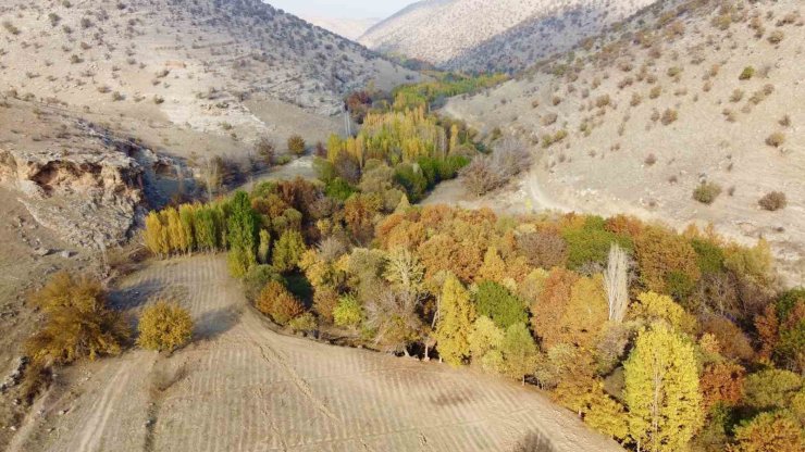 Karasu Çayı’nın sonbahar güzellikleri havadan görüntülendi