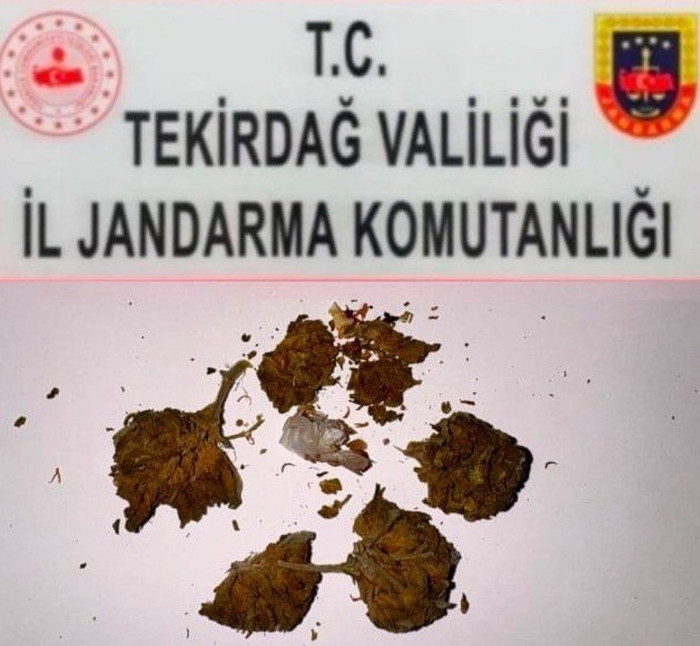 Tekirdağ’da uyuşturucu operasyonları: 3 ayrı olayda bonzai, esrar ve metamfetamin ele geçirildi