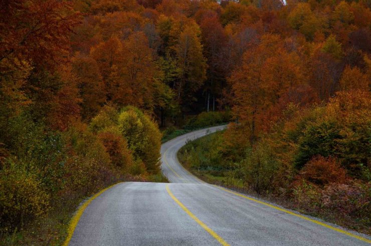 Ordu’da sonbaharda renk cümbüşü