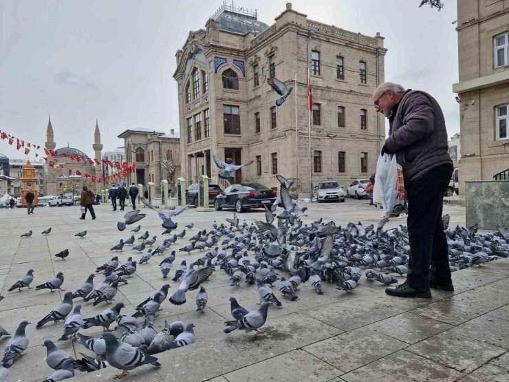 Soğukta kuşları besleyen emekli öğretmen yürekleri ısıttı