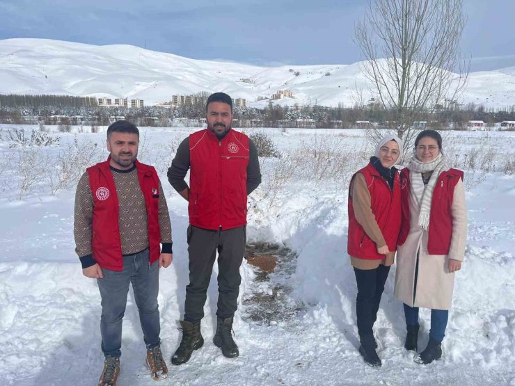 Gençlik Merkezi gönüllüleri sokak hayvanları için doğaya yiyecek bıraktı