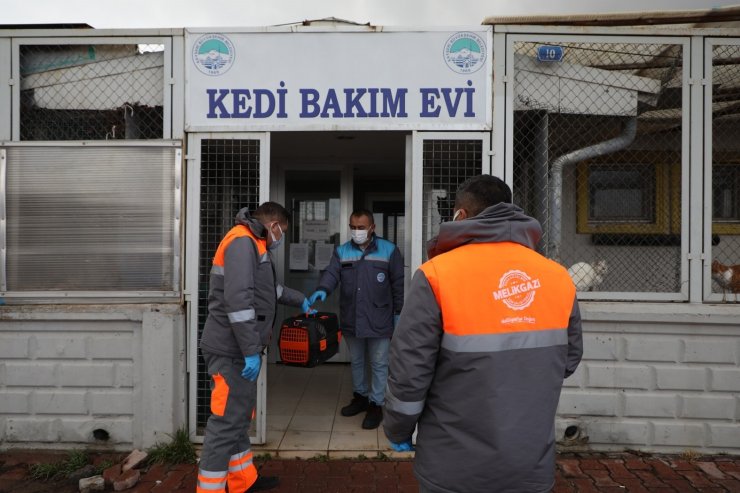 Yardıma muhtaç sokak hayvanları Melikgazi’nin sevimli dost ambulansı ile hayata tutundu