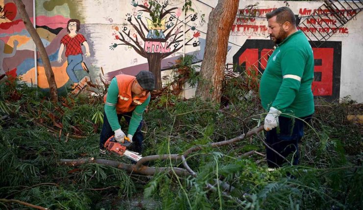 Kuşadası’nda ağaç atıkları ihtiyaç sahipleri için yakacağa dönüşüyor