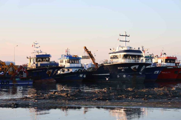 Didim Taşburun Balıkçı Barınağı’nın içler acısı hali görenleri şaşırtıyor