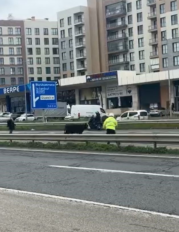 Büyükçekmece’de E-5’e giren dana trafiği kilitledi