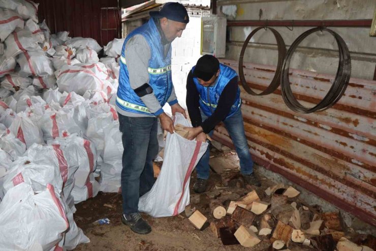 Nazilli’de devrilen ağaçlar yakacak olarak kullanılacak