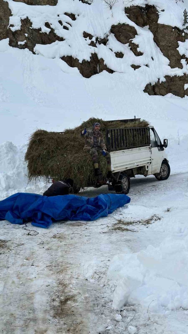 Artvin’de zorlu kış şartlarında hayvanlar için ot taşıma mücadelesi