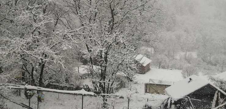 Kastamonu’da kar yağışı etkili oldu